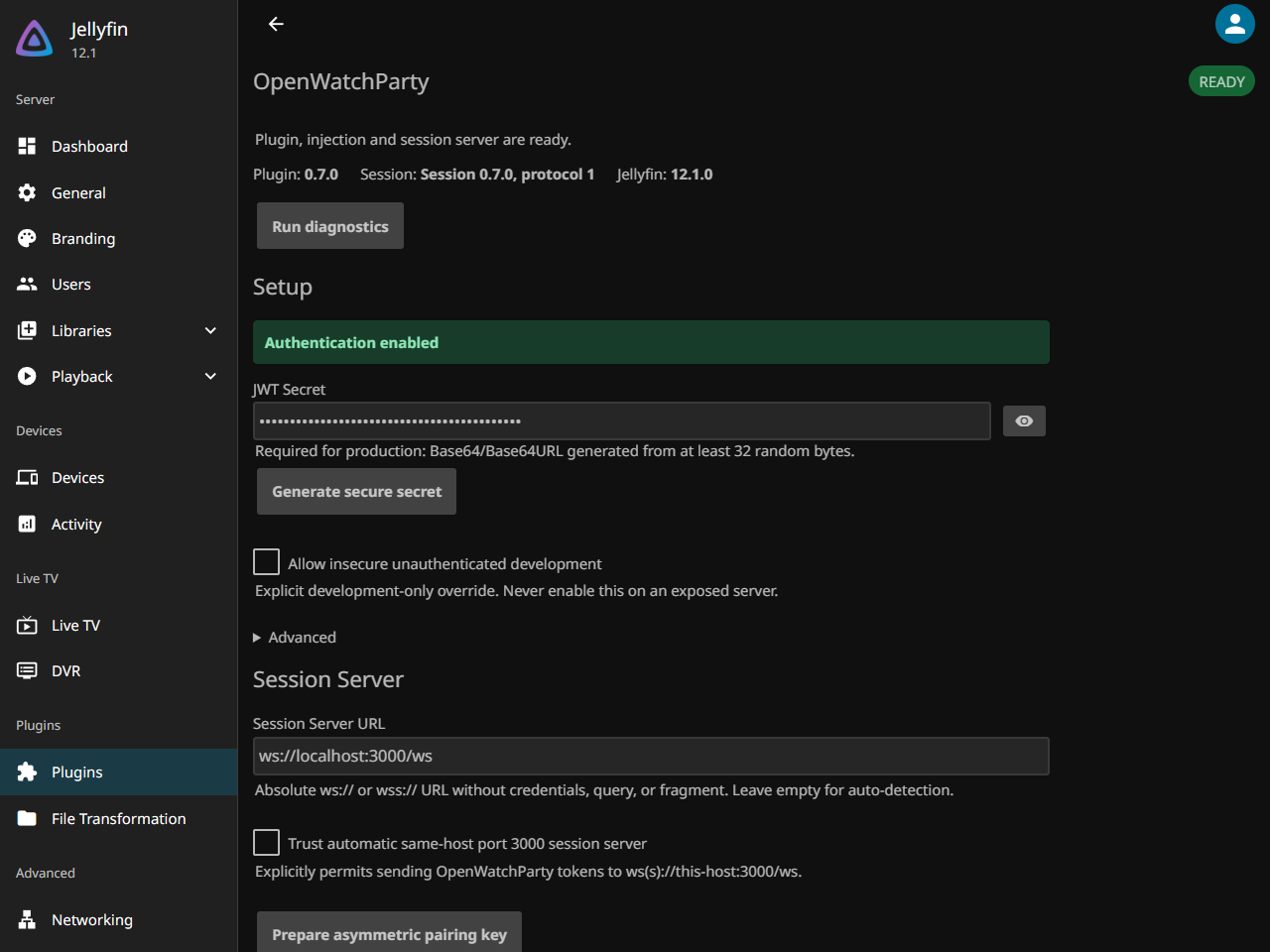 OpenWatchParty settings reporting the plugin, client injection and session server as ready